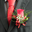 This boutonniere, photographed close against a charcoal suit jacket, is a refined expression of masculine elegance, the kind of detail that stands out at a Mill Hill wedding or black-tie event near Ridgeway. A single, beautifully curated rose in a deep pinkish-red hue forms the heart of the piece, its velvety petals arranged in a perfect spiral that draws the eye inward. Around the rose, fine, feather-light greenery radiates outward, suggesting motion and an organic, garden-grown charm, as though a gentle breeze has just brushed through a hedge in a Mill Hill back garden. Tiny white gypsophila blossoms-baby's breath-are tucked among the foliage, each one a star-like point of light that adds delicacy and contrast. Nestled at the base, round red berries provide a playful yet polished burst of colour, their waxy skins reflecting the soft, ambient light. All of this is carefully bound with a neat ribbon, its deep red tone echoing the perfectly tied scarlet necktie above, creating a visual line from lapel to collar. The textures invite touch: soft petals, airy flowers, smooth berries, and the sleek finish of the ribbon. There is a quiet dignity to the composition, making it ideal for grooms, best men, or guests who appreciate understated style. One can almost smell a sweet green scent, hinting at freshly cut stems and classic rose. The craftsmanship, with every stem placed just so, reveals the expertise of a florist attuned to both tradition and modern taste, creating a floral signature that complements life's most memorable celebrations in Mill Hill.