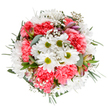 Spring's gentle radiance is captured beautifully in this Mill Hill bouquet, where fresh white daisies, coral-pink carnations, and feathery baby's breath come together in joyful harmony. The daisies, with their symmetrical petals and lively lime centers, evoke memories of local picnics on Mill Hill's rolling greens. Vibrant, ruffled carnations lend a playful depth and warmth, while misty clusters of gypsophila dance through the blooms, infusing dreamlike softness. Subtle, unopened alstroemeria buds with hints of purple and blush add an air of sophistication and gentle promise, peeking through a medley of green foliage. Silvery eucalyptus leaves and deeper green stems complete the arrangement, framing the bouquet in natural balance and cool freshness. This artful composition embodies both tranquility and celebration, masterfully curated by local Mill Hill florists to connect with the area's welcoming spirit. Perfect for joyful occasions-from birthdays to heartfelt thank-yous-or as a thoughtful, fresh-cut gesture for a friend along Hale Lane, this bouquet is ideal for delivery across NW7, bringing both visual and emotional brightness to any setting.