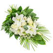 A long, elegant funeral spray lies diagonally against a crisp white background, its design intended to be viewed from the front and to guide the gaze from the fuller upper section to the pointed lower right. The central focus is a cluster of large white lilies, some fully open with wide, trumpet-like petals and gently arching stamens, others held in slender buds that add height and quiet anticipation. Surrounding the lilies, soft white and cream roses unfold in layers, mingling with ruffled white carnations that lend a plush, velvety texture to the piece. Here and there, white gerbera-like blooms appear, their neat petals and slightly darker or pale golden centres bringing a contemporary edge to the otherwise classic tribute. Tiny white filler flowers fill the spaces between, creating a light, misty effect that softens the transitions from flower to foliage. The blooms are set against an abundant base of greenery: broad, glossy dark leaves frame the arrangement, fine fern fronds trace a lacy outline, and rounded eucalyptus leaves in muted blue-green shades add depth and a cool, calming tone. At the crown of the spray, long, narrow leaves have been carefully wrapped and bound into tidy vertical bundles, showing precise florist craftsmanship. From the lower right corner, numerous slender palm fronds fan outward, shaping the spray into an elongated, asymmetric teardrop that feels both modern and serene. This composed, tranquil arrangement, rich in symbolism of purity and peace, would be well suited to a funeral service in Mill Hill, resting beside a coffin, placed at a graveside, or delivered to a local chapel of rest along the quiet streets near Mill Hill Broadway.