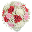 A tableau of gentle colour and fresh life, this arrangement reflects the tranquil beauty of Mill Hill's landscapes. Within a clear, rounded vase, plush carnations in vibrant crimson, soft pink, and delicate white unfold layer upon layer of frilled petals, gathering into a sumptuous, nearly spherical bouquet. Wisps of baby's breath meander gracefully among the blooms, like morning fog drifting over Burtonhole Lane, infusing the composition with lightness and a gentle, celebratory atmosphere. The bouquet is photographed from above, its colours suffused with crisp, natural light that amplifies every hue and touchable texture. Beneath the arching blooms, tidy stems nestle in fresh water, their vivid green a subtle promise of just-picked vitality. This arrangement is an exquisite choice for birthdays, heartfelt thanks, or commemorating special days in and around Mill Hill, exuding a sincere warmth and understated elegance that bring comfort and beauty to any occasion.