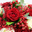 The photograph draws you into a lush, romantic bouquet, captured in close detail as if it were resting on a table in a Mill Hill home moments before being presented. Dominating the centre is a fully open deep crimson rose, its velvety petals layered in an intricate spiral that seems almost sculpted, each fold richly textured and softly lit. Around it, more dark red roses press closely together, some blooms fully expanded, others just beginning to open, forming a dense, luxurious cluster that speaks of passion and devotion. Interspersed among the crimson tones, creamy white roses introduce a gentle contrast, their smooth petals and rounded forms adding an air of calm and purity to the arrangement. Fine stems of tiny red Gypsophila meander through the bouquet, each minute blossom contributing a light, airy texture that softens the bolder shapes and gives a sense of movement, as if a soft breeze had just passed through. Here and there, glossy red Hypericum berries appear in small clusters, round and polished, catching glimmers of light and bringing a playful, festive sparkle. The entire composition is cradled by fresh greenery: rounded, silvery-green eucalyptus leaves and deeper green foliage that frames the blooms, providing depth and a natural, freshly gathered feel. Soft, diffuse lighting enhances the rich reds and soft creams without overpowering them, creating a warm, intimate atmosphere. It is easy to imagine this bouquet being delivered across Mill Hill-from homes near the Broadway to quiet streets close to Mill Hill East-as a romantic anniversary gift, a Valentine's surprise, or a thoughtful way to fill a local living room with colour, fragrance, and emotion.
