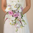 In this intimate bridal portrait, the camera lingers at eye level, capturing a bride from the waist up as she gently holds a sumptuous cascading bouquet against a softly blurred, warm background that could easily evoke a sunlit room overlooking Mill Hill's quiet streets. Her gown is of white or ivory lace, the intricate pattern on her sleeves echoing the complex layers of petals gathered in her hands. The bouquet itself forms a beautifully structured teardrop cascade, flowing naturally downward in a way that feels intentional yet organic, as though designed to move gracefully with every step up the aisle. Large white Phalaenopsis orchids dominate the arrangement, their broad, velvety petals open and serene, each flower centred with a small touch of yellow-gold that catches the light. Nestled closely with them are blush pink roses, generous in size and density, their tightly furled petals building classic, rounded blooms that bring depth and a sense of intimate romance. Threaded amongst these main blooms are stems of lavender and pale purple stock, adding a soft haze of colour and a billowing, almost cloud-like texture reminiscent of the borders in Mill Hill's local gardens. Tiny flecks of white baby's breath float throughout like delicate stars, softening the transitions between larger flowers and adding an ethereal veil to the composition. From the lower half of the bouquet, tasselled strands of vivid fuchsia or magenta amaranthus cascade downwards, introducing a bold vertical element and a lively splash of colour that keeps the arrangement from feeling too traditional. At the very bottom tip, unopened orchid buds, petite lavender blossoms, and slender green stems can be seen, lending an impression of natural growth and freshly prepared stems. Altogether, the bouquet reads as a thoughtfully crafted piece suitable for a Mill Hill bride seeking both elegance and individuality, perhaps delivered early on the wedding morning by Flowers Mill Hill to ensure it is at its freshest for the ceremony.