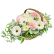 An elongated, serene floral basket arranged with a gentle, sympathetic palette of soft whites, pale pinks and verdant greens, photographed against a pristine white backdrop. Several pristine white Gerbera daisies claim the eye with their broad, satiny petals and warm yellow-brown to dark central discs, acting as calm focal points that catch the light. Nestled around them are clusters of frothy, pale pink carnations whose ruffled edges create soft shadows and a cushiony texture, suggesting comfort when touched. Filling the spaces are abundant spray chrysanthemums or small daisy-like blooms in white and butter-yellow tones that give a sense of quiet abundance, while tiny star-shaped lavender-blue florets peek through the foliage to add a cool whisper of color. The greenery is generous and varied: rounded, silvery-green eucalyptus leaves lend a gentle, aromatic note and modern line, while glossy, deeper green ruscus trails gracefully out to the left, creating a subtle asymmetry and a sense of natural flow. All these elements are gathered in a light-coloured, hand-woven wicker basket with a sturdy curved wooden handle that arches over the composition, its natural texture grounding the arrangement in craft and warmth. The lighting is bright yet soft, even across the bouquet so every petal, frill and leaf reads clearly - as if set out beneath soft morning light in a local Mill Hill kitchen. The overall impression is one of quiet dignity and tender care; a comforting gift or memorial tribute that reads as both handcrafted and resolute, suitable for a bedside, mantel or flat memorial presentation in and around Mill Hill.