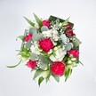 A top-down view reveals a full, rounded bouquet spread against a brilliant white background, every colour allowed to sing clearly. At the heart of the design, large hot pink carnations unfurl in layers of soft, frilled petals, their ruffled texture giving the arrangement generous volume and a joyful sense of movement. Nestled among them are deep pink and fuchsia roses, some fully open with classic spiralled centres, others still in promising bud, suggesting that the bouquet will continue to evolve over the next few days. Threaded between the bold pinks, small white spray chrysanthemums and other daisy-like blooms form little cushions of brightness, while airy sprigs of baby's breath float like tiny clouds, lightening the whole composition. A few slim white buds, likely alstroemeria or similar lily-shaped flowers, rise gently from the mix, adding an elegant, elongated note. Surrounding the flowers is an abundance of greenery: rounded, silvery eucalyptus leaves with their cool, slightly waxy surface, fresh bright green blades that arc outward, and darker, folded leaves shaped into a neat collar to cradle the bouquet. The clean lighting makes every petal, leaf vein, and texture crisp, as if the flowers have just arrived fresh from a trusted Mill Hill florist. This image captures the mood of a lively celebration bouquet, perfect for sending congratulations, birthday wishes, or heartfelt thanks to a loved one in or around Mill Hill Broadway, offering both exuberant colour and a gentle, comforting softness.