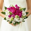 A close-up photograph captures a bride in Mill Hill gently cradling a round, vibrant wedding bouquet against the soft texture of her white lace gown, the flowers appearing almost to spill over her hands in a luxurious, colourful cloud. At the very heart of the design, large fuchsia and magenta peonies dominate, their many ruffled petals densely layered like silk ribbons, creating a plush, almost cushion-like centre that immediately draws the eye. Nestled between the peonies are crisp white alstroemeria, or Peruvian lilies, each bloom etched with fine maroon speckles and subtle streaks inside the throat, adding a touch of delicacy and intrigue. Threaded throughout the bouquet are fresh, spiky green buds and starry filler flowers, their pointed tips and upright stance bringing lively texture and movement that contrast with the round, velvety peony heads. Surrounding the entire composition are broad, glossy dark green leaves that curve gently outward, framing the arrangement and deepening the contrast between jewel-bright fuchsia, clean white, and vibrant green. The bride's hands, with neatly manicured pale pink nails, are partially visible at the base of the bouquet, reinforcing the sense of tenderness and anticipation. Soft, natural light highlights the blooms, making the magenta tones glow warmly against the subtle creaminess of the dress, much like a bride stepping out of a ceremony at Mill Hill's local churches. The overall mood is one of joyful romance and modern elegance, the kind of hand-tied bouquet a local florist in Mill Hill might create for a spring or summer wedding, perfect for a bride who wants her flowers to look lush, contemporary, and full of life as she walks through nearby parks and leafy avenues on her special day.