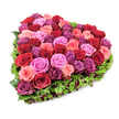 A lush, heart-shaped floral tribute photographed against a clean white backdrop and shown from a slightly elevated, angled viewpoint so the full three-dimensional form can be read at a glance. At the heart of the piece a dense mosaic of garden roses is packed tightly - velvety crimson and deep burgundy anchors, brighter fuchsia and coral-pink notes, and softer blush and peach undertones mingle with occasional purplish-magenta blooms to create a warm, multi-tonal tapestry. Each rose is captured at the peak of freshness, some petals still curled tightly like whispered secrets, others unfurling into ruffled layers that invite the eye and suggest a gentle, classic rose scent. Framing the floral core is a neat fringe of fine, deep-green foliage - textured leaves that might be carnation greenery or a mossy filler - which crisply defines the heart outline and gives the arrangement a living, garden-fresh edge. Within that green border tiny dark-red berries or miniature flowers peek through, adding shadowed points of interest and subtle depth. The lighting is bright and even, revealing the sheen on each petal and the soft shadow between blooms, while the white background makes the reds and pinks sing with emotional clarity. A piece like this reads as both celebration and consolation: suitable for a romantic anniversary, a heartfelt Valentine's message, or a respectful tribute at a memorial. Locally minded, it feels at home on a mantel in Mill Hill or displayed at a quiet gathering near Mill Hill Broadway, offering a comforting, articulated expression of love, remembrance, or tender admiration.