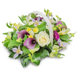 A softly luminous image shows a generous funeral flower basket arranged in a pale, woven container with a pronounced curved handle that arches protectively over a mound of blooms. The basket rests on a white surface against a pure white background, allowing the colours and textures to tell the story. At the heart of the display lies a large creamy white rose, its neatly spiralled petals unfolding with calm assurance, a symbol of purity and remembered love. On either side, two deep purple calla lilies rise like elegant sentinels, their trumpet-shaped forms and rich, inky tones introducing a sense of depth and formality that feels suited to a farewell gathering in one of Mill Hill's tranquil chapels. Woven amongst these main flowers are light lavender clematis-like blossoms, their slender star-shaped petals and pale yellow centres lending a soft, almost ethereal quality, as if echoing whispered memories. Bright accents of yellow and white, likely tiny freesia or alstroemeria-style blooms, punctuate the greenery with hints of sunshine and hope, reflecting the warmth of shared stories and family ties. On the right, a single magenta gerbera-style flower extends outward, its vivid fuchsia petals forming a lively circle of colour, honouring the individuality and spirit of the person being remembered. The arrangement is grounded by abundant foliage: broad, glossy green leaves and lighter, more delicate sprigs intertwine to create a rich, verdant base reminiscent of the leafy avenues around Mill Hill Broadway and the surrounding residential gardens. A soft, natural shadow beneath the basket suggests daylight filtering through a nearby window, as if the tribute has just been prepared by an experienced local Mill Hill florist and is ready to be delivered to a funeral home, church, or family residence, offering a graceful, heartfelt expression of sympathy.