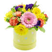 This Easter hatbox arrangement feels like a captured moment of spring, crafted with the kind of care you might expect from a local Mill Hill florist who understands how much a splash of colour can transform a room. The flowers form a rounded, dome-like shape, arranged tightly so the effect is one of pure abundance. At the focal point is a single pale pink Gerbera daisy, its tidy ring of petals opening around a fresh light green centre, giving the ensemble a gentle, smiling heart. Bright yellow chrysanthemums gather around it, their radiating petals creating small bursts of light that echo the cheerful mood of a sunny walk through Mill Hill Park. Between them, plush coral-orange carnations add warm, ruffled layers, their softly frilled petals creating depth and a sense of movement. Scattered throughout the arrangement, deep violet-purple lisianthus blooms arrest the eye, their velvety petals and elegant shapes offering contrast and a note of sophistication. The flowers are cushioned by fresh greenery, some leaves lightly edged with creamy white, which lends a soft, natural frame to the bold colours. All of this is held in a pastel lime-yellow cylindrical hatbox, its smooth sides dotted with whimsical pastel Easter egg designs in shades of powder blue, soft pink, and off-white, some delicately patterned with dots and stripes. Set against a clean white background, every blossom and leaf stands out with clarity. This arrangement would make a delightful Easter centrepiece in a Mill Hill dining room, a welcoming accent in a Broadway café, or a thoughtful surprise delivered to family or friends across the local North London neighbourhoods, bringing with it the optimism and gentle joy of the season.