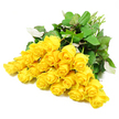 A carefully gathered bouquet of about two dozen yellow roses lies spread gracefully across a pure white background, as if just placed down after arriving as a sympathy arrangement in Mill Hill. The roses are arranged in a loose arc, their heads facing different directions yet forming a cohesive, flowing shape. Some blooms remain tightly closed, their petals wound in dense spirals, while others have begun to ease open, revealing soft, overlapping layers of rich, sunshine yellow. The colour is bright but tempered, bringing a sense of warmth and comforting light. Around and beneath the flowers, clusters of deep green leaves peek through, their smooth surfaces and gently serrated edges adding texture and depth, with a few lighter leaf undersides catching the light. The stems, visible at one side, are straight and fresh in pale green tones, suggesting that the bouquet has been recently hand-crafted and delivered. Soft, even lighting enhances the natural beauty of the petals and foliage without creating harsh lines, allowing the viewer to focus on the serene interplay of yellow and green against the white space. This image carries the quiet tenderness of a condolence bouquet chosen to express sympathy, perhaps for a family near Mill Hill East or a service in a local chapel. It reflects the kind of thoughtful, understated design that Flowers Mill Hill might create when asked to send a message of support and remembrance, using yellow roses to symbolize enduring friendship, fond memories, and a gentle, hopeful presence during times of loss.