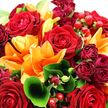 This photograph showcases a dramatic, warm-toned bouquet of deep red roses and striking orange lilies, captured with the kind of soft, natural light you might find in a Mill Hill kitchen on a clear afternoon. At the heart of the arrangement, several large red roses are fully open, their velvety petals layered in tight, spiralling rosettes that suggest romance and enduring affection. Their rich crimson colour anchors the bouquet, providing a strong focal point. Encircling and rising through them are vivid orange lilies, their broad petals flaring outward and gently curving back, creating a sense of upward energy and openness. The lilies' fiery orange tones contrast beautifully with the darker reds, adding brightness and a touch of joyful drama, like a sunset seen from the hilltops around NW7. Between these major blooms are smaller, darker rosebuds and miniature roses in deep burgundy shades, which lend depth, shadow, and a hint of vintage character. Lush green foliage surrounds and weaves through the flowers: some leaves are wide, smooth, and glossy, catching the light in soft reflections, while others are more slender and textured, filling the gaps and softening every edge. A single prominent leaf curls elegantly toward the viewer, subtly guiding the gaze into the arrangement's centre. Scattered throughout are clusters of shiny, ruby-red hypericum berries perched on slender stems, their rounded forms adding playful texture and seasonal charm. The overall composition is dense yet harmonious, every bloom and leaf carefully placed. Gentle, bright lighting highlights the fresh, dewy surfaces of petals and berries, making the entire bouquet appear vibrant and alive-an ideal choice for birthdays, anniversaries, or meaningful congratulations delivered across Mill Hill, from quiet residential lanes to the bustle of Mill Hill Broadway.
