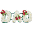 A dignified, three-dimensional funeral tribute spelling the word DAD in bold capital letters, each letter densely carpeted with small, pristine white chrysanthemum blooms that give the surface a soft, cloud-like texture. The letters are crisply edged in a pleated, deep emerald-green ribbon which frames the white chrysanthemums and lends a measured, formal line to each character. On the upper curve of the left 'D' sits a carefully placed spray of rich, deep-red roses paired with fragrant white freesia and glossy green foliage; the same combination repeats near the lower left of the central 'A,' where the roses and freesias nestle against the diagonal stem and a slender spray of greenery arcs upward, and again on the upper curve of the final 'D' to mirror the first. Subtle dark green or black metal support bars run horizontally behind the letters, barely visible but providing discreet structural stability so the tribute reads as a single, cohesive composition. Soft, even lighting falls across the arrangement, bringing out the porcelain whiteness of the chrysanthemums, the velvety depth of the red roses and the fresh green ribbon trim; the scents are suggested rather than overwhelming - a gentle breath of rose and freesia. As a traditional sympathy piece suited to a graveside or chapel service in Mill Hill - near Mill Hill Broadway or the village church - it communicates restrained respect and enduring love, an offering that speaks of family memory and quiet devotion. This is the sort of bespoke floral letter tribute local florists create when a loving, personal goodbye is required for a father or paternal figure.