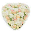 Viewed from directly above against a crisp white backdrop, this heart-shaped floral tribute unfolds as a study in soft, comforting colour and meticulous craftsmanship. The surface is densely covered with an abundant mix of fresh-cut blooms: dozens of roses in shades of radiant white, warm ivory, pale peach and gentle blush pink nestle close together, some petals unfurled into full, velvety cups while others remain as elegant, tightly spiralled buds. Between the roses, cloud-like clusters of pristine white hydrangea add a billowy texture that softens the composition and creates a plush, tactile surface; the hydrangea's tiny multi-petaled florets catch light differently from the satin sheen of the roses, producing a subtle interplay of highlights and shadow. Scattered throughout, deep green variegated foliage peeks through, the leaf tips and veins providing a fresh, grounding contrast and helping to define the heart's edges. Photographed from a slightly elevated overhead perspective, the arrangement casts a delicate, natural shadow on the white background that emphasizes its rounded volume and careful construction. The palette and shape together convey tenderness and quiet dignity - suitable for a loving wedding accent, an anniversary declaration of devotion, or a dignified sympathy tribute for a memorial service. There is a soft, rose-sweet fragrance suggested by the image and an overall sensation of calm, as if the arrangement had been placed where morning light can graze its surface. Crafted with an experienced hand, this premium fresh-flower design reads as both a heartfelt keepsake and an elegant expression of enduring affection, gentle enough for intimate ceremonies yet refined for formal remembrance.