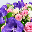 Here, the camera lingers lovingly over a sumptuous bouquet, the kind of design you might find waiting on a hallway console in Mill Hill after a special delivery. Dominating the arrangement are several large purple Vanda orchids, each one a statement flower with broad, rounded petals in saturated violet, overlaid by a darker, netted pattern that gives them a rich, almost velvety depth. Cradling and weaving between these orchids are roses in a carefully balanced palette: delicate blush-pink blooms, slightly deeper medium-pink roses radiating warmth, and timeless creamy white and pale yellow roses that bring gentle light to the design. Their petals are tightly layered in classic spirals, some just beginning to loosen, others more open, suggesting both promise and fullness. Tucked among the roses and orchids, clusters of neat, round white Hypericum berries add a clean, sculptural accent, their waxy finish catching subtle highlights. The greenery is thoughtfully arranged, with bright, oval green leaves that frame the flowers and lend a sense of freshness, complemented by soft, silver-green foliage that resembles Dusty Miller, its velvety leaves introducing a cool, feathery texture. Sprinkled throughout are petite, fluffy white filler flowers, likely tiny carnations or button chrysanthemums, which add volume and a hint of airy softness. The bouquet rests against a soft white background, so every nuance of colour and form stands out clearly. The overall mood is romantic and sophisticated, perfect for marking an anniversary dinner near Mill Hill Broadway, sending love to a home close to Daws Lane, or celebrating a new beginning with flowers that feel both luxurious and thoughtfully arranged.