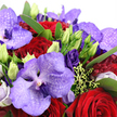 This richly detailed close-up portrays a dramatic bouquet that marries opulent colour with refined texture, perfectly suited to an intimate celebration in Mill Hill. At its heart, expansive Vanda orchids bloom in layered tones of lavender, lilac, and deep royal purple, their petals patterned with darker flecks and veins that create an almost mosaic effect. These exotic blossoms immediately draw the eye and establish a luxurious, contemporary tone. Woven gracefully between them are deep crimson red roses, their velvety petals spiralling in tight, romantic swirls that suggest passion, loyalty, and heartfelt sentiment. Around these focal blooms, royal purple lisianthus contributes a softer, more fluid texture; some flowers are open and gently ruffled, while others remain as slender lime-green buds, poised to open like quiet secrets yet to be shared. The entire design rests on a foundation of lush emerald foliage, its leaves layered and slightly glossy, providing depth, contrast, and a natural frame for the richer hues. Delicate sprigs of chartreuse-green filler and small berry-like clusters appear throughout, catching the light and echoing the fresh, garden-inspired feel of Mill Hill's leafy streets and open spaces. Subtle hints of pale pink or soft white petals at the periphery lend a whisper of lightness, keeping the arrangement from feeling too heavy despite its saturated colours. Gentle, even lighting illuminates the flowers, accentuating the satin sheen of the orchids and the plush surface of the roses. The bouquet radiates romantic sophistication and emotional warmth-ideal for anniversaries, milestone birthdays, or a surprise floral delivery by Flowers Mill Hill, bringing a touch of luxury and affection to homes across the neighbourhood.