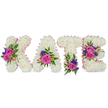 A tender, freestanding floral tribute spelling KATE in four three-dimensional capital letters, photographed against a clean white backdrop. Each letter is built from a dense, plush carpet of pristine white chrysanthemums whose feathery petals create a soft, cloud-like surface you can almost feel between your fingers. A pale blush satin ribbon traces the outer and inner edges of every character, catching a soft, shimmering light and lending a delicate halo to the shapes. Bright clusters of accent blooms punctuate each letter: deep fuchsia-pink roses and smaller pastel pink spray roses provide a warm, loving heart; sprinkled between them are vivid purple-blue sprigs, likely statice or small lisianthus, that give cool contrast and quiet depth. Greenery-slender eucalyptus leaves and fragile fern fronds-frames the bouquets, adding air and texture while the leaves' matte silver-green tones balance the strong pinks. The floral placements are purposeful: a dramatic cluster sits on the diagonal stroke of the K, the A is trimmed with blooms near its lower right curve, the T carries a grounded cluster at its base, and the E is softly accented with two groups on the middle bar and bottom arm. Subtle floral scent and the satin's whisper combine to create a comforting, solemn atmosphere, suited to a funeral, celebration of life, or graveside memorial. As a bespoke remembrance piece, this arrangement reads as both an artist's composition and a personal message of love-clear, elegant, and quietly consoling for family and friends gathered in Mill Hill and the wider NW7 area.