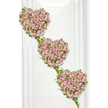 This photograph captures a tender triple-heart floral tribute, the hearts arranged in a gentle diagonal cascade that leads the eye from the upper left of the frame to the lower right, like a soft flow of affection. Each heart is formed from a dense carpet of miniature roses in tones of dusty lavender and soft pastel pink, creating a muted, romantic palette. The petals are layered tightly together, giving the hearts a lush, velvety appearance; some roses are fully open, while others remain in half bloom or closed buds, adding depth and a sense of quiet movement. Encasing each heart is a border of slender green ivy, the vines looping gracefully around the roses before stretching onward to connect with the next heart. The ivy's small, shiny leaves stand out against the pastel flowers, their fresh green colour grounding the design and enhancing the clarity of each heart shape. All of this is set against a pristine white background, where subtle vertical reflections at the side hint at glass, polished stone, or a modern display surface, creating a clean, tranquil setting reminiscent of a chapel or farewell room in Mill Hill. The soft, even lighting smooths away harsh contrasts, leaving only a calm glow that underscores the tribute's serene mood. Visually, these three hearts might symbolise parents and child, siblings, or the past, present, and future of a cherished life. This is a floral arrangement suited to a funeral or memorial service, thoughtfully composed in a style you might find from Flowers Mill Hill, carrying a message of love that continues even in goodbye.