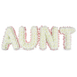 The scene shows a dignified floral tribute spelling out AUNT in bold capital letters, designed as a three-dimensional arrangement and photographed against a flawlessly white background so that every blossom stands out. Each letter is thoroughly carpeted with closely spaced white chrysanthemums, their fine petals overlapping to form a luxurious, cushion-like texture that appears soft and inviting to the touch. The flowers are uniform in size, creating a calm, orderly pattern that conveys peace and reverence. Encircling the edge of each letter is a pastel pink satin ribbon, gathered into delicate ruffles that follow the contours of the shapes. This pink trimming acts like a gentle frame, adding a hint of colour and a tender, feminine character without distracting from the purity of the white blooms. The letters appear evenly spaced and upright, resting on an unseen base, evoking the way such tributes are often displayed at funerals, wakes, or celebrations of life, perhaps in front of a lectern or beside a coffin. The clear, soft lighting emphasises the natural freshness of the chrysanthemums and the subtle sheen of the satin, with no clutter or background elements to draw the eye away. It is easy to imagine Flowers Mill Hill crafting this arrangement for a local family, then carefully delivering it along the quiet streets of Mill Hill to a church, chapel, or crematorium. The finished piece feels serene, heartfelt, and reassuring, providing a visually gentle way to say goodbye to a beloved aunt and to mark her memory with grace and love.