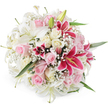 This image captures a meticulously arranged bouquet set against a pristine white background, the flowers forming a perfect, rounded dome of colour and texture. Large, snow-white lilies anchor the design, some fully unfurled with star-like petals and pale, slender stamens, others still in smooth green buds that promise continued blooming over several days. Nestled closely around them are clusters of roses in soft blush pink and warm cream, their petals thick and velvety. A few roses remain tightly closed, hinting at upcoming beauty, while many are open enough to reveal delicately layered centres and gently curling outer petals. Bringing energy and visual drama to the arrangement are rich fuchsia Oriental lilies, likely resembling Stargazer lilies, whose intense magenta petals curve back slightly and are dusted with deeper speckles. Their bright yellow anthers stand out, adding a touch of sunshine to the overall palette. Fine sprays of white baby's breath drift between the larger blooms, like tiny stars scattered across a pastel sky, softening the look and making the bouquet appear fuller and more romantic. Slivers of green foliage and stems peep through in just a few places, providing balance and a nod to the lush greenery of Mill Hill's surrounding parks and gardens. The lighting is even and luminous, highlighting every petal edge and subtle colour transition without overwhelming glare. This bouquet feels ideal for special occasions in Mill Hill-anniversaries celebrated in family homes, thoughtful thank-you gifts for neighbours near Mill Hill East, or elegant congratulations sent to local businesses along Mill Hill Broadway.