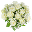 A serene, hand-assembled bouquet of roughly two dozen fresh white roses, each bloom immaculate and softly layered from creamy inner petals to bright, crisp outer petals, arranged in a dense, rounded dome. Tiny clouds of white baby's breath (Gypsophila) are woven throughout the bouquet, their star-like sprays creating a lace-like, airy texture that gently softens the strong, velvety presence of the roses. Glossy deep green foliage peeks out between the blooms, offering a cool, natural frame that enhances the purity of the white palette. The composition sits against a clean white background so the subtle ivory tones and the velvety spiral centers of the roses are clearly visible, and the overall effect feels quietly reverent and composed. There is a faint, classic sweetness suggested by the flowers-a light, early-morning scent that accompanies the visual calm-and the design carries a sense of new beginnings and gentle solace. As a florist who often prepares arrangements for ceremonies in Mill Hill Village or for quiet gatherings near The Ridgeway and Holders Hill Park, I made sure each stem is chosen for symmetry and freshness, resulting in an arrangement that suits weddings, christenings, anniversaries, or moments of remembrance. The bouquet's timeless white-on-white aesthetic communicates purity and grace, offering a tender, understated statement of care and respect for significant life occasions in the Mill Hill area.