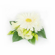 A compact, elegant corsage captured against a clean white backdrop, its quiet sophistication felt before you even imagine the weight of the pin. At the centre sits a fully open, creamy white Gerbera daisy, its many smooth petals layered like satin and fanning outward to reveal a lively yellow-green eye that gives the bloom a fresh, sunny focus. Around and beneath the Gerbera, soft lisianthus (Eustoma) flowers and buds nestle in stages of opening - two blooms partially unfurled with delicate, ruffled edges showing pale buttery tones that deepen toward the core, while several slim, pale green buds promise gentle movement and growth. A small, layered white daisy or chrysanthemum peeks from the upper right, adding a tucked-in fullness and a hint of vintage charm. Deep emerald, waxy leaves frame the cluster, their broad curves providing rich contrast and a cool, botanical weight that grounds the composition. On the right, a few tiny pearl beads are subtly threaded through the foliage, catching soft light and lending a discreet touch of formality suitable for weddings or anniversaries. The lighting is diffuse and natural, emphasising the velvety textures and the subtle interplay of creamy whites and fresh greens. The overall mood is one of tranquil celebration - a boutonniere or corsage that reads as pure, refined, and ready to be pinned at a Mill Hill wedding, a quiet ceremony near Mill Hill Village, or a spring event at The Ridgeway. The simplicity of the palette and the craftsmanship make this piece feel like a promise of calm and new beginnings.