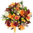 A close, overhead study of an abundant autumn bouquet, every petal and leaf sharply lit against pure white so the warm palette reads like late-afternoon sun. Large orange Asiatic lilies sit at the centre, their trumpet-shaped petals fully unfurled and textured with subtle veins; tight, bright green and pale orange lily buds cluster nearby, promising more blooms and adding layered depth. Scattered among them are vivid Gerbera daisies in pumpkin-orange and a deep burgundy red, their crisp, ray-like petals forming cheerful, sun-shaped faces that contrast with clusters of creamy white lisianthus whose ruffled petals soften the composition. Fine, spiky heads of muted purple Astrantia float at different depths, lending an airy, almost starry texture against the heavier blooms. Broad, lobed leaves in a reddish-brown-evocative of oak or fall maple-are deliberately placed to mimic drifting autumn leaves, while fresh green foliage and slender stems weave through the arrangement, providing structure and a bright, living counterpoint. The overall feeling is warm, celebratory, and harvest-rich; you can almost sense the gentle, green-fresh scent and the faint dry-wood note of fallen leaves. This tightly packed bouquet reads as both refined and rustic-ideal for a Mill Hill dining table, a Thanksgiving centerpiece near Mill Hill Broadway, or a thoughtful seasonal gift to a neighbour on The Ridgeway. As a florist describing it to someone who cannot see it, I emphasize the tactile contrasts-the silky lily petals, the papery oak leaves, the delicate crunch of Astrantia-and the careful balance that keeps the composition full, rounded, and joyfully autumnal.