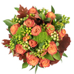 Seen from directly above against a clean white background, this autumnal bouquet reads like a warm sunset captured in petals and foliage. At the heart, abundant fully opened roses in soft peach through coral to deep orange display a gentle bicolour - each bloom graduating from a warm core to outer petals brushed with a reddish-rust, as if the last light of day kissed their edges. Interspersed playfully among the roses are clusters of glossy Hypericum berries: lively lime-green beads and creamy pale-yellow pearls that catch light like tiny dewdrops and add a bright, tactile contrast to the velvety petals. Punctuating the round composition are compact mounds of Green Trick dianthus - mossy, plush, and vividly green - which bring an unexpected, almost woodland texture that invites the fingertips to explore. Dark, lobed leaves in deep burgundy and burnt-russet are woven through the arrangement, their dry-hued veins and robust shapes grounding the warmer tones and reinforcing the bouquet's harvest mood. Shiny, broad green leaves form a lush backdrop, giving the design fullness and a sense of natural abundance. The overall effect is both luxurious and homey: a centerpiece that radiates comfort and gratitude, ideal for Thanksgiving, an autumn table, or a thoughtful seasonal gift. You can almost smell the hint of rose and fresh greenery beneath the earthy whisper of dried leaves; under soft studio light the colours glow with depth and warmth. As a local Mill Hill florist might suggest, this arrangement brings the colours of Bittacy and the high street's autumn stalls into your home, offering a tactile, fragrant celebration of the season.