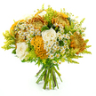 Against a pure white backdrop, this hand-tied bouquet appears as a glowing, autumn-inspired dome of colour and texture. Large chrysanthemums in deep golden yellow, burnished orange, and russet tones form the structural core, their many slender, spiky petals layered so densely that they create a plush, almost cushion-like surface. Nestled among these bold blooms are creamy white roses, each one a neatly spiralled rosette of velvety petals that introduces softness and a refined, romantic touch. Adding a particularly striking detail is the yellow-orange celosia, whose brain-like, rippling crests resemble tiny pieces of coral or folded velvet, catching light along every curve and giving the arrangement an intriguing sculptural element. Scattered throughout, small white daisy-like flowers with sunny yellow centres lend a lighthearted, meadowy charm, as if plucked from a sunny verge along the paths near Mill Hill East. Surrounding the flowers, lime-green solidago and other fresh foliage weave in and out, their feathery fronds and soft leaves providing a lush, verdant frame that enhances both volume and brightness. The stems are carefully aligned and tightly wrapped with green florist's tape at the base, displaying the precision and care of a skilled Mill Hill florist preparing the bouquet for easy gifting and display. The lighting is bright and even, highlighting every petal edge, ruffled celosia fold, and leaf texture with clarity while keeping the overall mood warm and inviting. The bouquet conveys a feeling of cosy celebration and natural abundance, ideal for autumn birthdays, heartfelt thank-yous, or sending a comforting, seasonal gesture to someone special in the Mill Hill area.