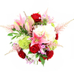 A richly textured, dome-shaped bouquet dominates the photograph, set against a brilliant white studio backdrop that allows each flower to stand out in crisp detail. Deep, velvety red roses are scattered throughout the arrangement, many of them just beginning to unfurl from tight buds into open blooms, symbolising heartfelt emotion and classic romance. Rising between them, pink stargazer lilies form bold, star-shaped flowers, their petals fading from bright pink at the centre to softer blush at the tips, marked with intricate darker speckles and crowned by prominent stamens. Several lilies remain in bud, tall and pointed, contributing sculptural lines and an air of anticipation. Cushioning these focal flowers, large heads of creamy white hydrangeas gather in fluffy clusters, each composed of countless small petals that overlap to produce a soft, cloud-like effect, adding both volume and a sense of gentle comfort. Nestled among the hydrangeas, spherical tufts of lime-green Green Trick dianthus or pom-pom chrysanthemums introduce a fresh, contemporary twist, their finely textured surfaces resembling tiny moss cushions. Feathery plumes of pale pink astilbe extend outwards from the bouquet's edges, creating a light, airy outline and a feeling of delicate motion. Small glimpses of lavender and fuchsia filler blossoms peek from between the larger flowers, offering subtle colour variation and visual depth. The whole design is framed by lush greenery, including broad, glossy leaves and slender, fern-like fronds that add structure and a natural, garden-inspired character. Crafted with the care of an experienced Mill Hill florist, this bouquet feels equally suited to celebrating an engagement dinner near Mill Hill East, brightening a family home overlooking Mill Hill Park, or arriving as a thoughtful same-day delivery to mark a milestone in NW7.