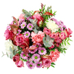 Against a pure white background, this image presents a sumptuous circular bouquet viewed from directly above, so that every flower and leaf contributes to a seamless, richly textured pattern. At the bouquet's centre, large roses in velvety fuchsia and gentle blush pink are fully opened, revealing spiralled petals that soften to creamy tones at the tips, creating a romantic, almost glowing effect. These central roses are framed by a generous collar of peach-pink carnations, whose finely ruffled petals overlap in soft waves, giving the arrangement a cushioned, luxurious feel. Intermingled are petite, daisy-like chrysanthemums in shades of lavender and mauve, each with a bright lime-green centre that punctuates the design with little bursts of brightness and charm. Cream and white blooms have been tucked between the more vibrant flowers, adding clarity and light so that the richer hues never seem heavy. The greenery, carefully chosen, weaves in and around the flowers: rounded eucalyptus leaves in silvery green add a cool, contemporary note and suggest a crisp, herbal fragrance, while darker green leaves add grounding shadows and help maintain the bouquet's rounded silhouette. Slender leaves with hints of reddish-pink carry a suggestion of early autumn colour, echoing the blooms and bringing a touch of drama. The bouquet feels like something crafted with care by a local florist in Mill Hill, ready to be delivered to a home off Lawrence Street or a quiet cul-de-sac near Mill Hill Broadway. Its combination of soft romance and joyful brightness makes it perfect for marking special occasions, offering comfort, or simply filling a room with the sense of fresh flowers just brought in from the florist's workbench.