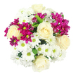 A lush hand-tied bouquet, photographed from directly above on a clean white background, reveals an artful play of cream, white, and magenta tones that feels very at home in Mill Hill's peaceful surroundings. At the centre, several cream-white roses open in refined spirals, their overlapping petals smooth and full, creating a calm, elegant focal point that suggests both comfort and celebration. Encircling these roses, generous clusters of white daisy-like chrysanthemums form a bright cushion of petals, each bloom defined by a tight ring of slender white rays around a fresh yellow-green center, bringing a light, uplifting character to the design, reminiscent of a stroll through Mill Hill Park under clear skies. Threading through this pale base, rich magenta spray chrysanthemums introduce vivid colour and texture, some fully blossomed with ruffled, starry faces, others still in rounded buds that hint at days of beauty to come. Small flashes of deep green foliage peek between the densely packed flowers, framing the composition much like the well-kept hedges and trees along Mill Hill Broadway. The lighting is soft and even, allowing the whites to appear crisp while making the magenta tones glow with warmth. Visually, the bouquet suggests a gentle, sweet fragrance-pleasant and inviting, never overpowering-suited to a living room, bedside table, or office desk. This arrangement feels ideal for a heartfelt thank-you, a quiet anniversary, or a thoughtful same-day delivery across Mill Hill and nearby areas, bringing a touch of floral brightness and serenity into everyday Northern London life.