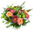 This hand-tied bouquet, photographed against an immaculate white background, showcases a lush interplay of colour, form, and texture that feels both welcoming and refined. At its core, full-headed roses in soft peach and warm apricot tones bloom open, their delicately layered petals creating a sense of timeless romance. Encircling them, Gerbera daisies in deep magenta, burgundy, and muted rose offer a bolder note, their tidy rings of petals framing bright yellow and orange centres that glimmer like tiny suns. Rising just above these, an exotic protea provides a captivating focal point, with reddish-brown and maroon bracts forming a gently tapered cone that adds architectural interest and a hint of the wild. Throughout the arrangement, clusters of lime-green button chrysanthemums punctuate the design, their rounded, cushion-like heads bringing a fresh, zesty contrast that calls to mind the vivid greens of Mill Hill's open spaces. The entire bouquet is wrapped in lush foliage: broad, shiny leaves, slender grassy strands, and fragrant eucalyptus sprigs that arc gracefully around the blooms, adding depth, movement, and soft silvery highlights. Tightly bound stems at the base reveal this as a classic hand-tied creation, easy to place directly into a favourite vase in a Mill Hill living room or hallway. The overall impression is one of generous abundance and contemporary elegance, a bouquet suited to joyful celebrations, heartfelt thank-yous, or simply sending a warm, uplifting gesture to someone special in and around Mill Hill.