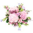 A sumptuous, hand-tied bouquet in pink and soft lavender tones is shown against a bright white background, allowing every bloom and leaf to be appreciated in detail, as if examined on the counter of a Mill Hill florist. The centre is dominated by three large, rounded cushions of pale pink hydrangea, each cluster made up of countless, closely packed petals that create a plush, cloud-like effect. Surrounding these hydrangeas are elegant blush roses, their petals silky and gently curling; some roses are open wide, revealing classic spirals, while others remain as tight buds, bringing a sense of unfolding stories and quiet romance. Interspersed among them are delicate sprays of waxflower in richer shades of magenta and fuchsia, their fine stems and tiny, star-shaped blossoms forming a lace-like network of colour and texture between the larger blooms. Smaller five-petalled pink flowers, reminiscent of phlox, weave through the arrangement, softening transitions and creating a natural, garden-inspired rhythm. From the edges, slender stems of bell-shaped campanulas in soft lavender or periwinkle blue extend outward, their nodding bells adding a whimsical, slightly airy frame that cools the otherwise warm palette. The flowers are supported by fresh green foliage-broad hydrangea leaves and lighter, feathery greenery that peek out here and there, adding depth, contrast, and a sense of just-cut freshness, as though they were gathered from a hidden garden off The Ridgeway in Mill Hill. The overall impression is lush, romantic, and quietly joyful, ideal for marking new beginnings, celebrating an anniversary, or sending heartfelt wishes with same-day delivery to homes and venues across Mill Hill and the surrounding area.