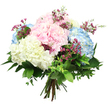A beautifully balanced hydrangea bouquet appears against a flawless white backdrop, its pastel tones and natural textures sharply in focus as though freshly arranged in a Mill Hill flower shop. Dominating the composition are large, rounded hydrangea heads in soft shades of blush pink, mellow sky blue, and smooth creamy white. Each head is made up of hundreds of small, petal-like florets, tightly clustered to create a billowy, cloud-like volume that feels both luxurious and comforting, reminiscent of hydrangea borders in quiet gardens off Bittacy Hill. The pink blooms introduce a note of gentle romance, the blue flowers carry a cool, peaceful mood, and the white hydrangeas brighten the ensemble with a sense of purity and understated sophistication. Threaded through these generous blooms are slender sprigs of deep magenta filler flowers, most likely waxflower, whose tiny, rounded blossoms and fine stems bring delicacy, movement, and a richer colour accent to the design. Surrounding the flowers, lush greenery spreads outward: broad, dark green leaves with a soft sheen provide structure, while smaller, lighter leaves weave between the stems, softening the edges and echoing the look of freshly cut garden foliage from around Mill Hill. The stems are gathered neatly and tied at the base in a classic hand-tied style, suggesting the bouquet is ready to slip into a vase on a Mill Hill kitchen table or living room sideboard. Gentle, even lighting and the clean background draw attention to the interplay of colour and texture, conveying a mood of calm joy, thoughtfulness, and refined floral artistry suitable for celebrations, get-well wishes, or quiet, comforting gestures.