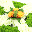 A solemn yet beautifully balanced floral cross fills the image, designed as a heartfelt tribute that would feel at home in a Mill Hill church or quiet chapel. The base of the cross is entirely blanketed in pure white chrysanthemums, each blossom closely nestled to the next, forming a continuous surface that looks soft and pillowy. The petals are small, delicately curved, and slightly ruffled, imparting a gentle, soothing texture. At strategic points along the perimeter-the tips and curves of the arms-rounded mounds of lime-green button chrysanthemums appear. These domed clusters, formed from many tiny, bead-like flowers, bring a vibrant green accent that suggests new growth, much like the fresh lawns and hedges seen around Mill Hill's residential streets. At the very centre, three roses gather the eye. Their colours range from deep, glowing orange through golden yellow to soft apricot, with velvety petals spiralling outward in full, generous blooms. These central roses are held within a ring of rich foliage, including glossy leaves and feathery fern-like greens that lend depth and a slight sense of movement, as if stirred by a gentle breeze. The composition is bathed in clear, natural light that illuminates every nuance of colour and texture. Overall, the cross communicates themes of faith, remembrance, and quiet gratitude, making it a fitting floral expression of sympathy for services or memorial gatherings across Mill Hill and nearby green spaces.