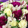 The photograph shows a finely balanced bouquet in close-up, crafted with the care you might expect from a long-established Mill Hill florist creating an arrangement for a family celebration near Mill Hill East. The eye is first drawn to the creamy white roses, their petals curling outward in refined spirals. These blossoms range from tightly furled buds to more open blooms, revealing soft centres that carry the slightest suggestion of pale yellow, lending warmth to their otherwise ivory tones. Interspersed throughout, deep magenta and rich purple carnations provide a striking contrast. Each carnation is densely petalled, with ruffled edges that stack in layers, giving an impression of plush richness, like finely gathered fabric. Threaded between these more substantial blooms are white alstroemeria, their narrow petals arching outward in airy trumpets. Many of the alstroemeria petals are delicately streaked with pink and burgundy markings, fine lines and specks that offer a touch of intricate detail and a slightly untamed charm. Lush green leaves emerge around the flowers, their smooth surfaces catching the light and their broad shapes providing a fresh frame that enhances both the creamy roses and the darker carnations. A soft lavender wrapping can be seen encircling the outside of the bouquet, its subdued lilac tone gently mirroring the purple hues within the arrangement and giving the impression of a subtle, protective embrace. The lighting is even and flattering, allowing the natural textures and colours to be clearly distinguished. Overall, the bouquet conveys a mood of considerate elegance and heartfelt sentiment, suitable for marking life's meaningful occasions or adding a refined burst of colour and fragrance to homes and gatherings across Mill Hill.