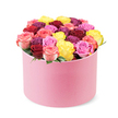 A luxurious and vibrant floral arrangement, presented in a stylish round light pink box, often called a hat box, sits against a plain white background. The container is brimming with dozens of fresh, densely packed roses, forming a lush domed top that seems to float above the box's surface. The color mix is lively and balanced: bright sunny yellow, deep burgundy red, soft coral pink, and cheerful fuchsia pink, all nestled so tightly that no greenery is visible from above. This modern, elegant gift speaks of celebration and premium quality, making it an ideal choice for birthdays, anniversaries, Mother's Day, or Valentine's gestures. The image is a professional product shot that highlights the refined presentation and vibrant hues, while suggesting the ease of same-day delivery in Mill Hill for a thoughtful, indulgent surprise. The bouquet's weight and density convey luxury, yet its soft pink tone keeps the mood warm and approachable, perfect for brightening a home or office in NW7 and nearby streets. It's the kind of gift that says you cared enough to select something carefully crafted, then trusted to arrive in pristine condition, ready to place on a table and fill a room with color, perfume, and a sense of personal celebration.