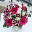 Brimming with Mill Hill's unique blend of playfulness and sophistication, this floral arrangement dazzles atop a luminous white table, colors vivid against the clean, sunlit backdrop. At its heart, bold hot pink Gerbera daisies radiate happiness, drawing the gaze in with their plush, sunburst-shaped petals and deep, textured eyes. Splashes of two-tone chrysanthemums with purple centers and white-tipped petals scatter joyfully throughout, each one punctuated by a lively lime-green core, providing a modern counterpoint to the classic soft cream roses discreetly woven between. Wispy baby's breath offers a dreamy texture, filling the bouquet with gentle lightness and reminiscent of clouds drifting above Arrandene Open Space at dawn. Glossy green leaves anchor the scene, balancing exuberance with calm. The suggestion of intricate ironwork in the background hints at the elegant balconies found along Bittacy Hill. Perfect for marking a milestone, expressing gratitude, or simply brightening a loved one's home in NW7, this bouquet stands as a radiant symbol of celebration, warmth, and the distinctive flair of Mill Hill's flourishing flower community.