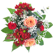 Cradled against a pure white backdrop, this hand-tied bouquet reads like a small garden at its most generous moment. At the centre sit two large peach-apricot roses, their petals unfurling in soft spirals with faint pink rims that catch a gentle, cool light; a tightly budded classic red rose peeks through nearby, adding a note of classic romance. Deep burgundy chrysanthemums - almost velvety in tone - appear throughout, each with a lime-green buttoned eye that gives the arrangement a lively, daisy-like energy, while a single spiky, dark burgundy protea-like bloom introduces exotic texture and a dramatic silhouette against the softer shapes.

Delicate clouds of white baby's breath (Gypsophila) drift between the larger blooms, their tiny points of white softening the composition and lending a light, airy contrast to the richer hues. Lush green foliage forms a broad base: glossy, dark leaves cradle the flowers and slender, silvery-green eucalyptus stems with their rounded leaves add a modern, muted counterpoint. The overall form is dense and circular, each stem placed to maintain balance and fullness so the bouquet reads as both abundant and refined.

There is a subtle, leafy scent beneath the sweeter rose fragrance that feels like a stroll through a local Mill Hill market in early morning. As a florist who knows Mill Hill Village and the nearby Broadway well, I imagine this piece brightening a breakfast table or being handed over with a quiet, heartfelt message of thanks or affection - a crafted, floral expression of warmth and celebration.